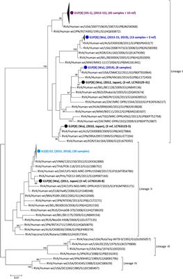 Molecular evolutionary analysis of novel NSP4 mono-reassortant G1P[8]-E2 rotavirus strains that caused a discontinuous epidemic in Japan in 2015 and 2018